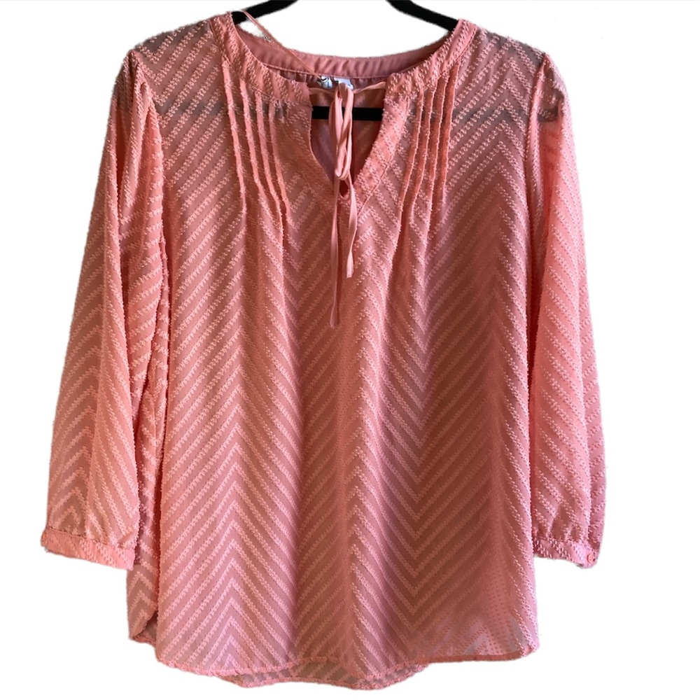 Elle: Pink Sheer Blouse with Chevron Pattern and Tie Detail | Sz M
